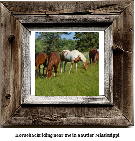 horseback riding near me in Gautier, Mississippi